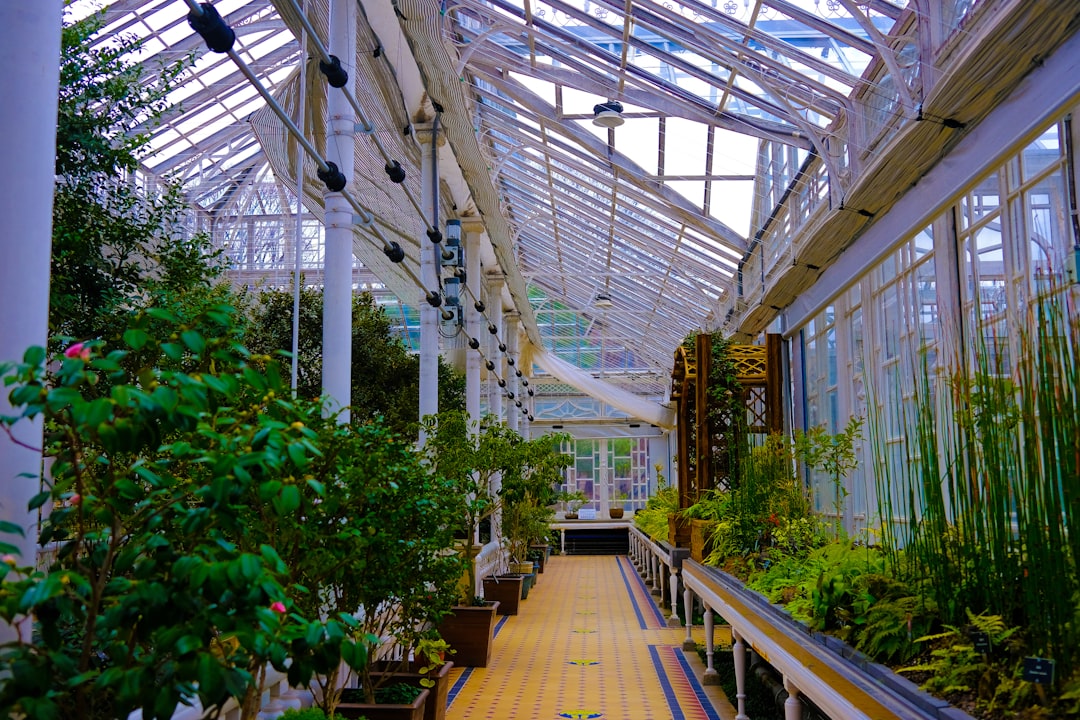 Få mere ud af din have med en isoleret udestue tilbygning