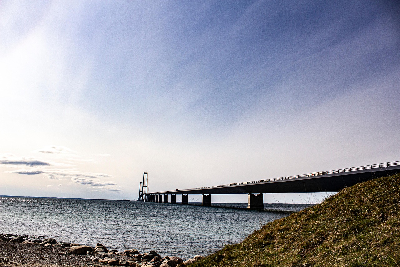 Havens jord viser, hvor muldvarpebekæmpelse odense bør begynde